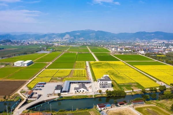 高標(biāo)準(zhǔn)農(nóng)田典型案例集錦丨“豐景”，在希望的田野